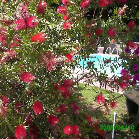 B&B Desenzano Ντεζεντσάνο ντελ Γκάρντα Εξωτερικό φωτογραφία