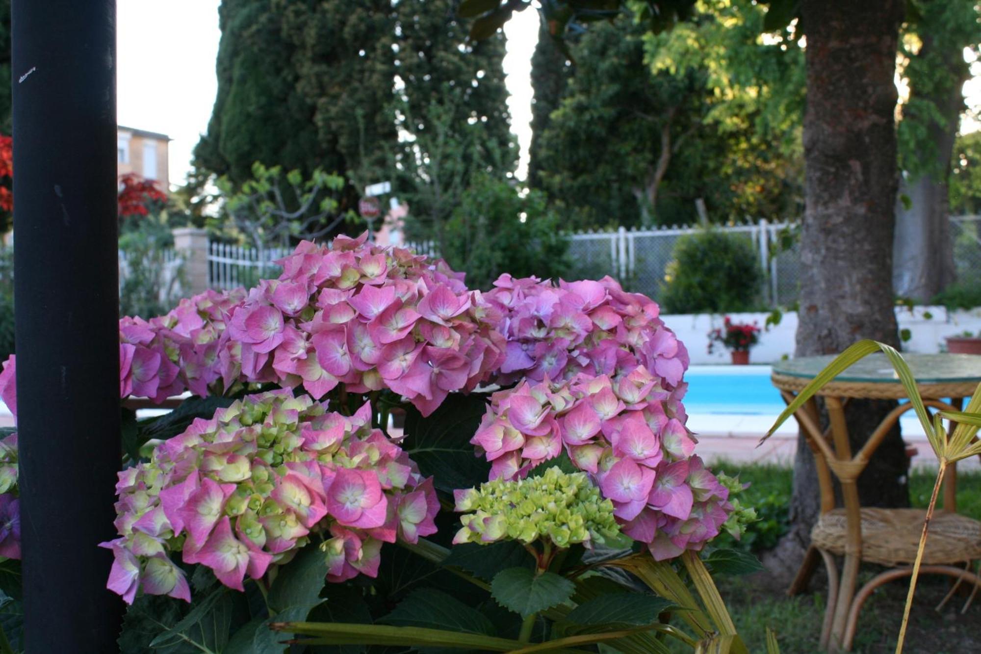B&B Desenzano Ντεζεντσάνο ντελ Γκάρντα Εξωτερικό φωτογραφία