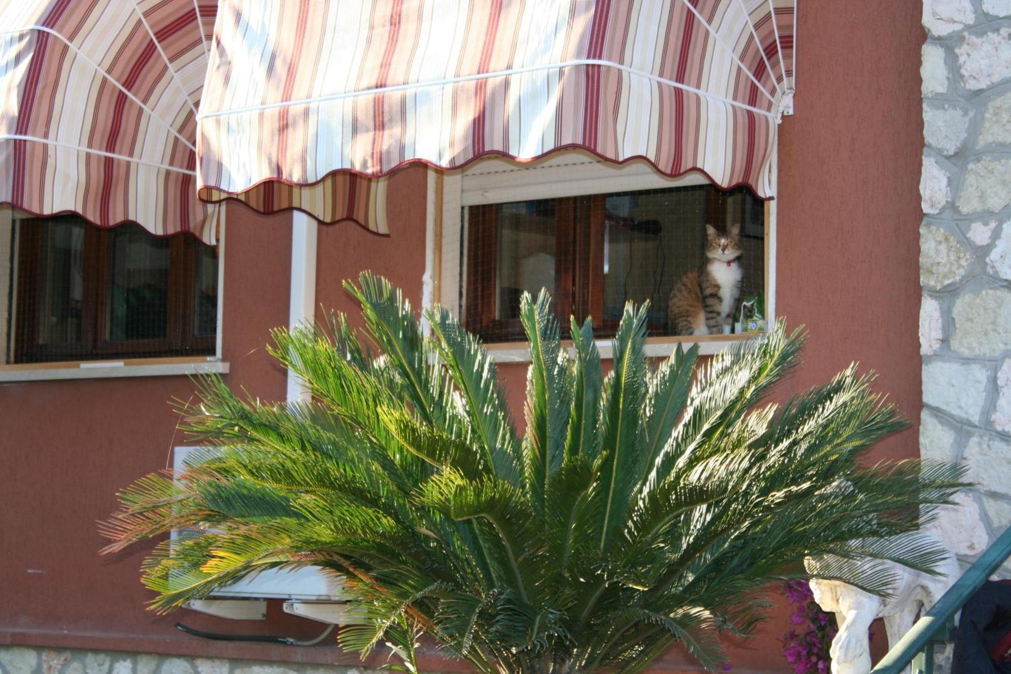 B&B Desenzano Ντεζεντσάνο ντελ Γκάρντα Εξωτερικό φωτογραφία