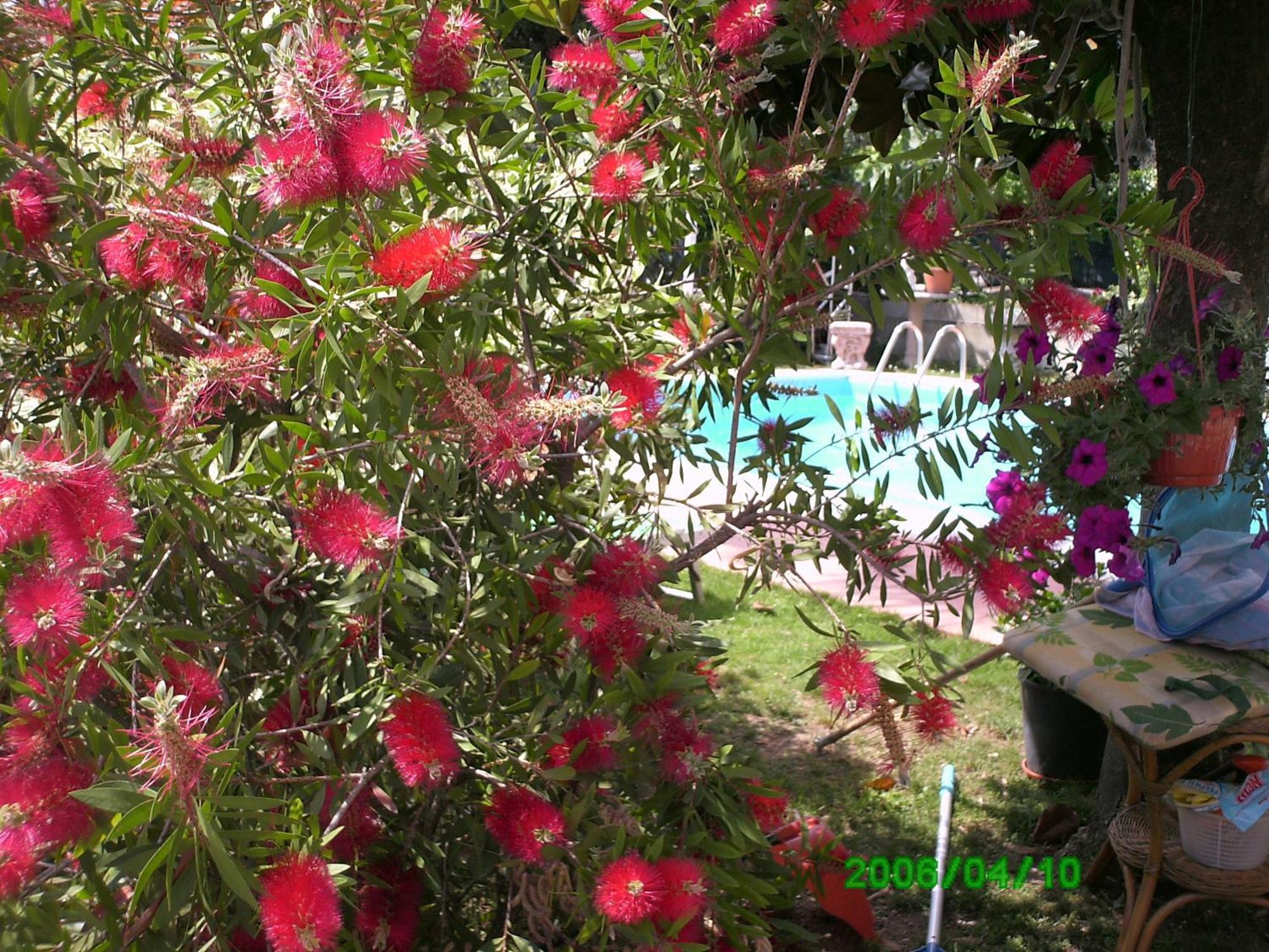 B&B Desenzano Ντεζεντσάνο ντελ Γκάρντα Εξωτερικό φωτογραφία